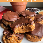 PB Chocolate Oatmeal Cups