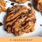 5 Ingredient Oatmeal Cookies