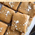 No Bake Lemon Cookie Bars {paleo, gluten free}