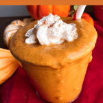 Pumpkin Pie Smoothie (healthy, paleo, gluten free)